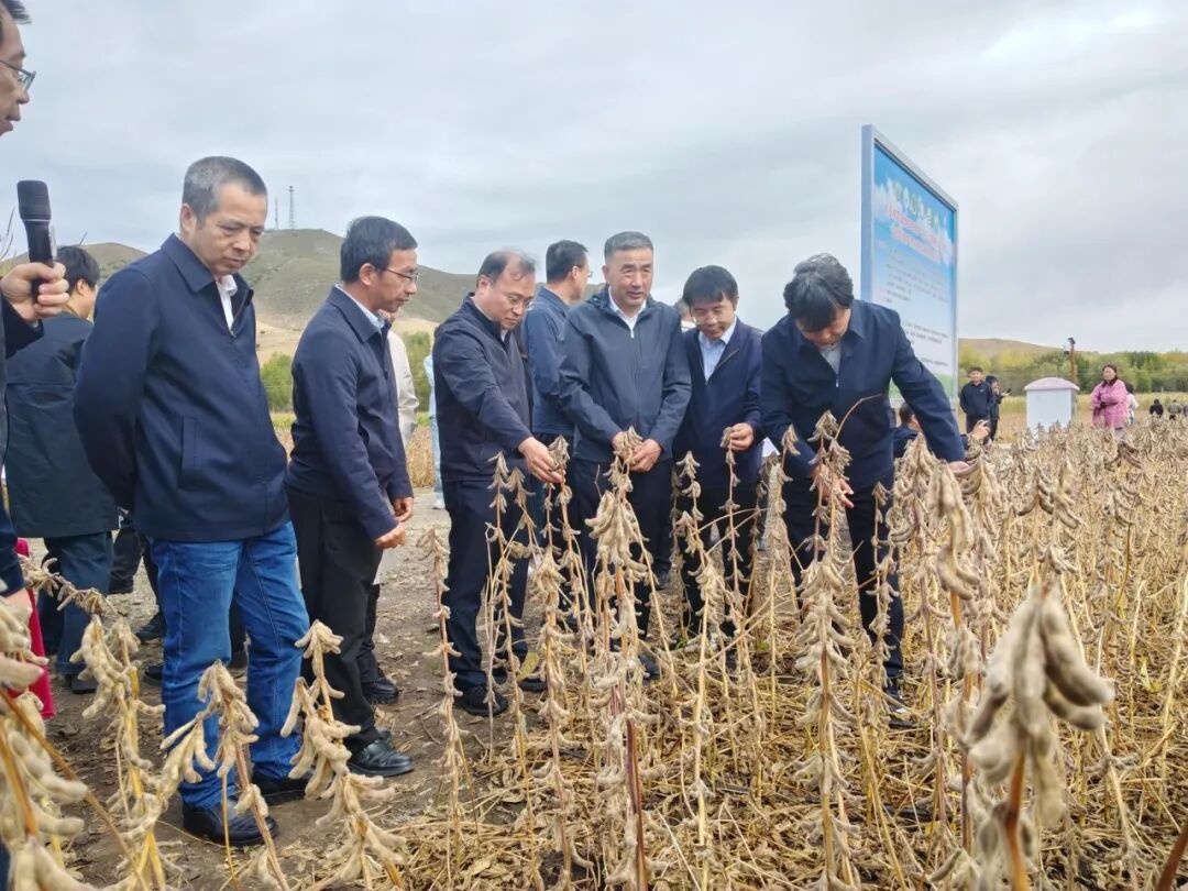 与会人员现场观摩