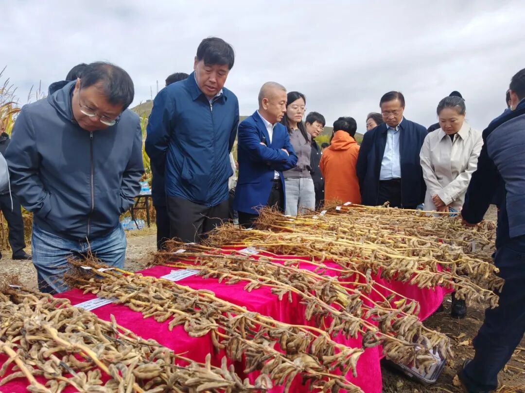 田间测产