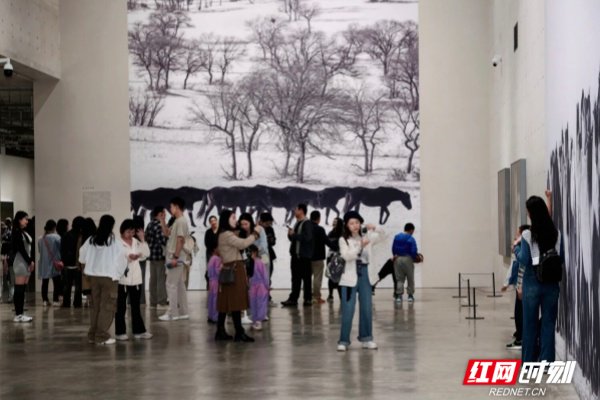 市民和遊客走進謝子龍影像藝術館展廳參觀。（來源：謝子龍影像藝術館）