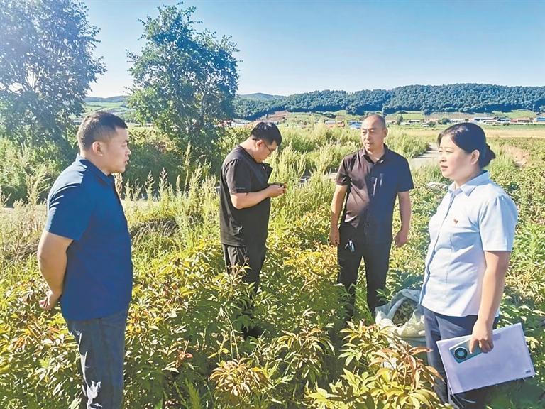 大兴安岭地区财政局、银行工作人员实地调研。