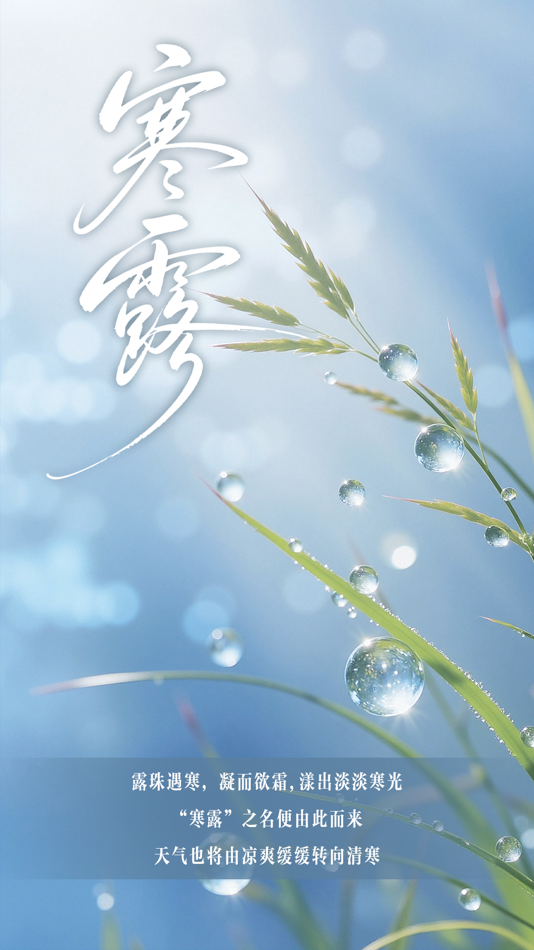 丨编