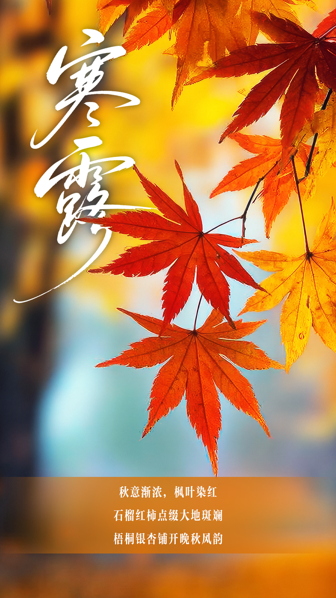 丨编