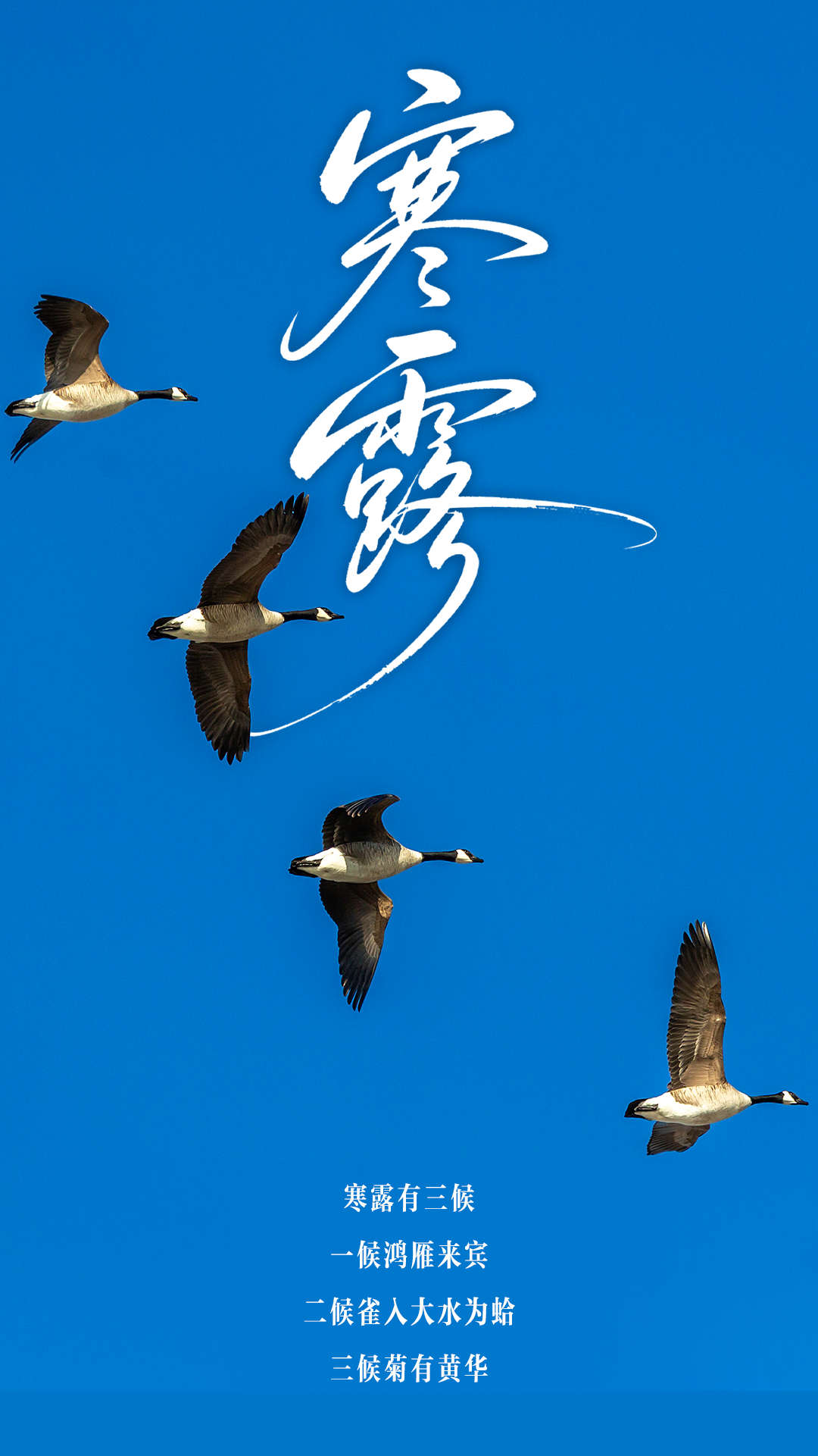 丨编