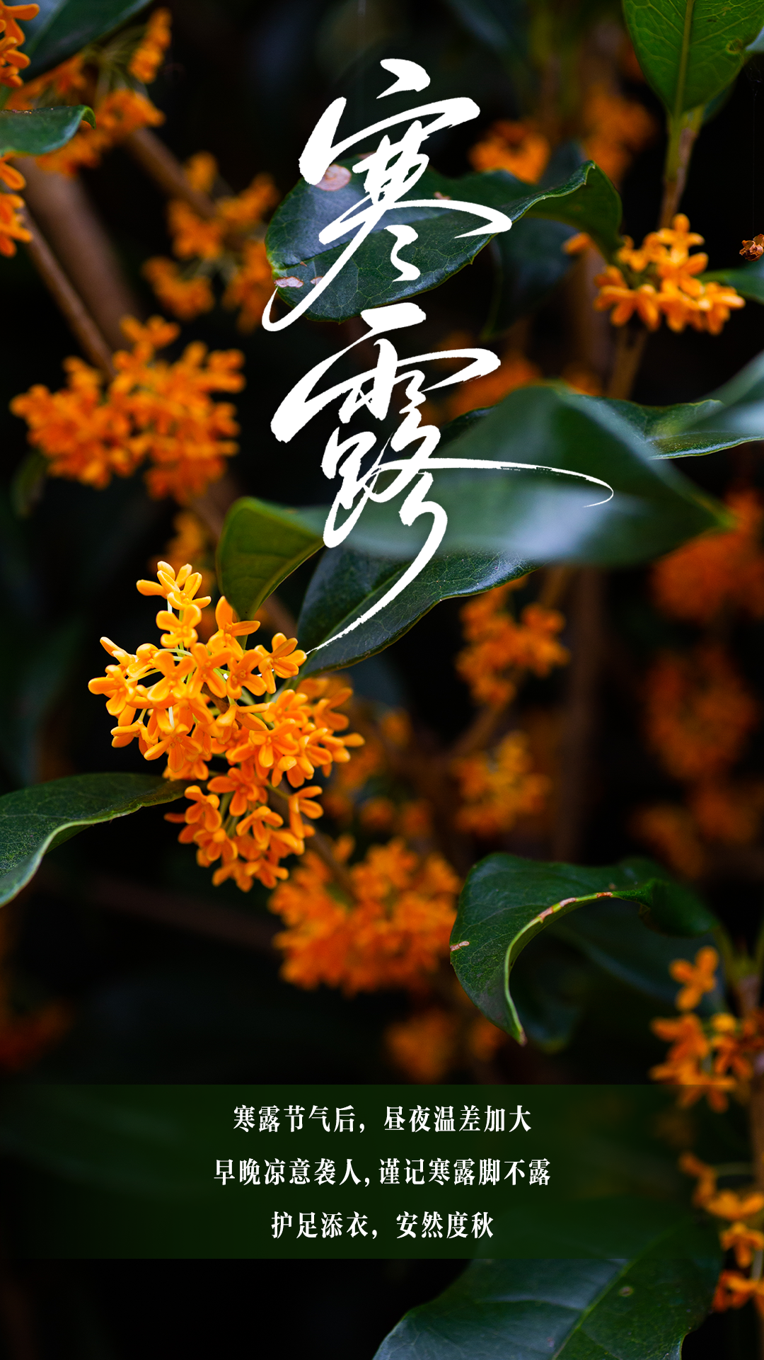 丨编