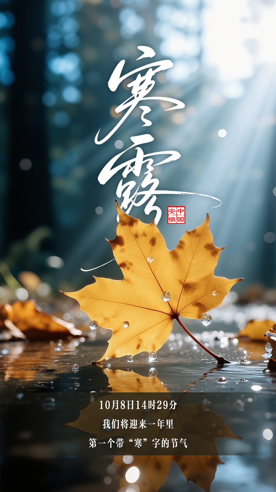 丨编