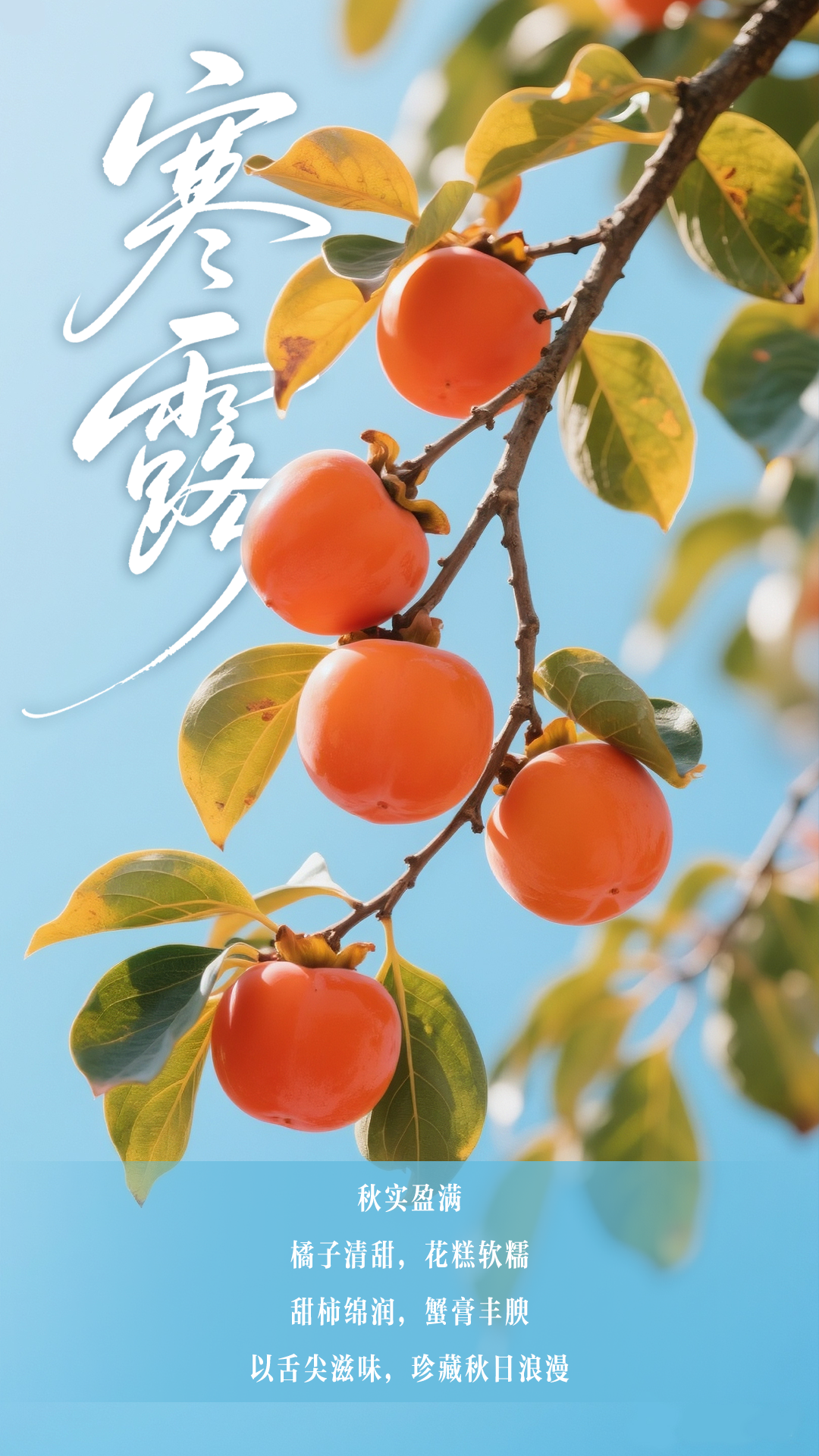 丨编