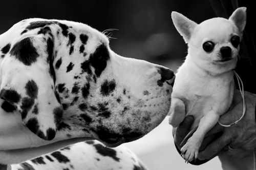 图片来源：Jacob King/PA Images/Alamy