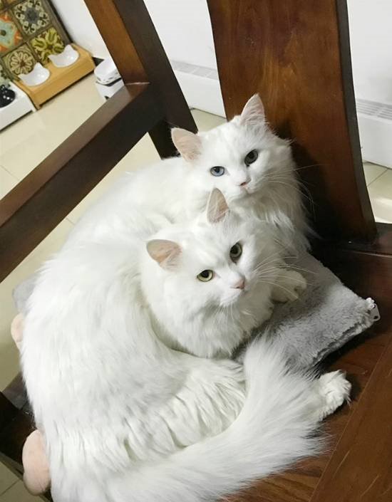 责任编辑：哈尔