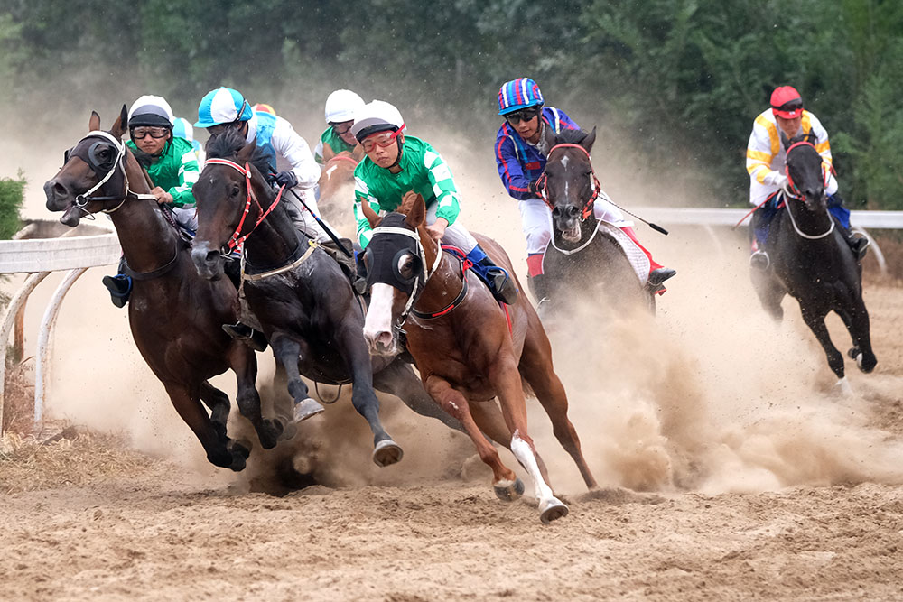 北京马协速度赛马大赏