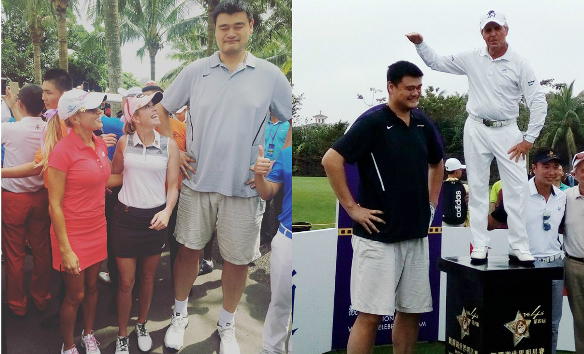 2米26亮相观澜湖 姚明引无数明星合影"比身高"