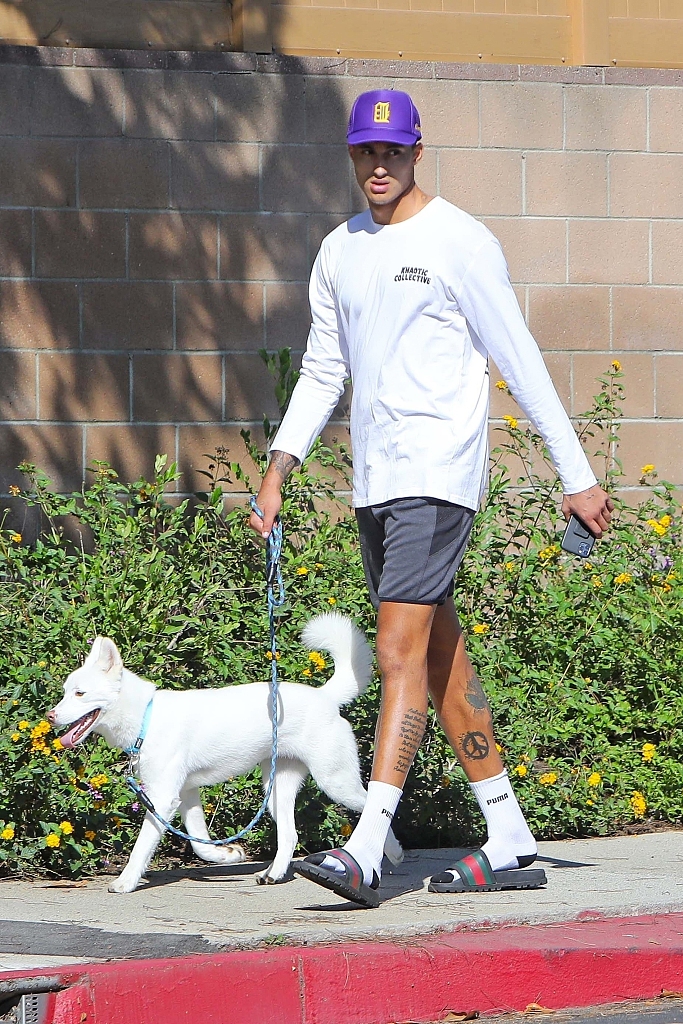 湖人球星库兹马早起外出 阳光正好开心遛萌犬