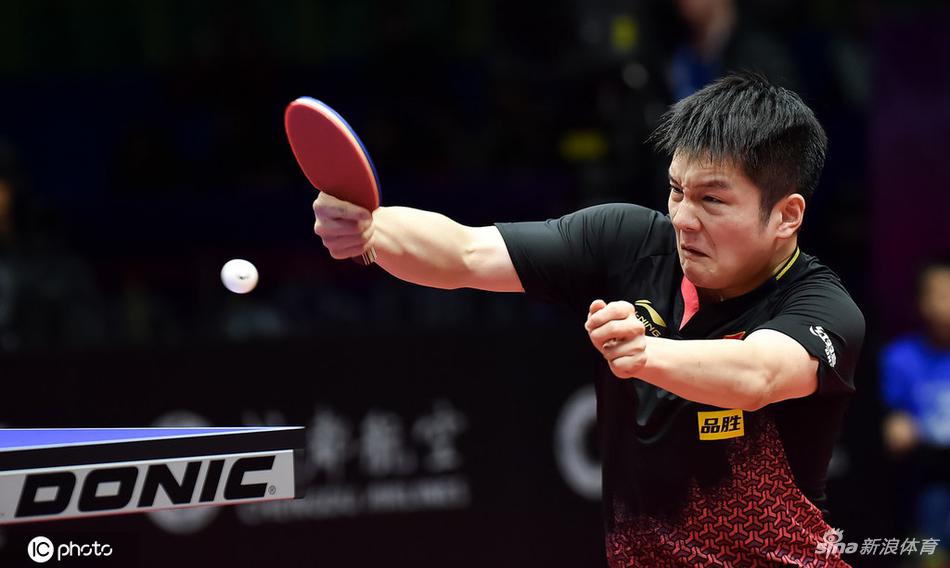 世界杯樊振东4-0哈贝松