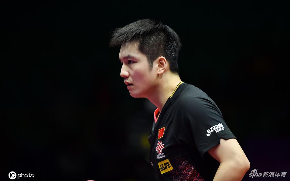 世界杯樊振东4-0哈贝松