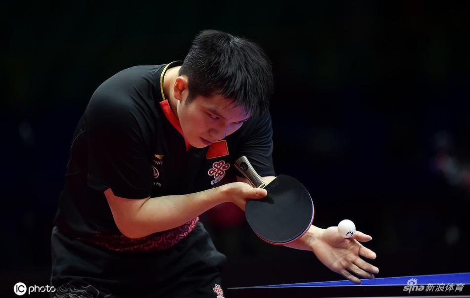 世界杯樊振东4-0哈贝松