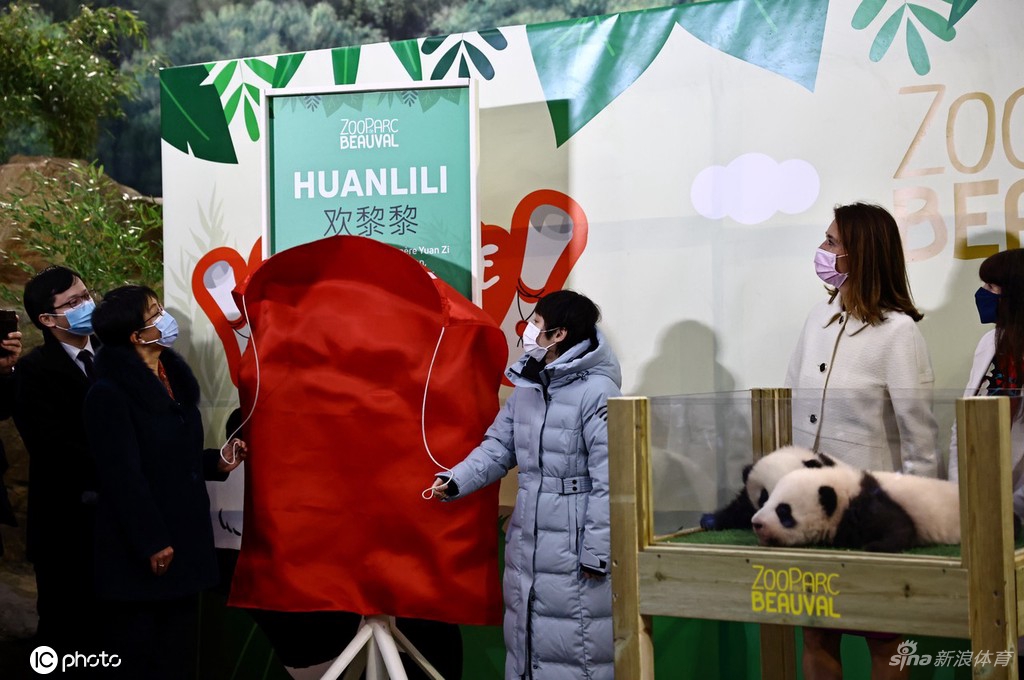 张家齐与姆巴佩联动 为旅法大熊猫幼崽命名