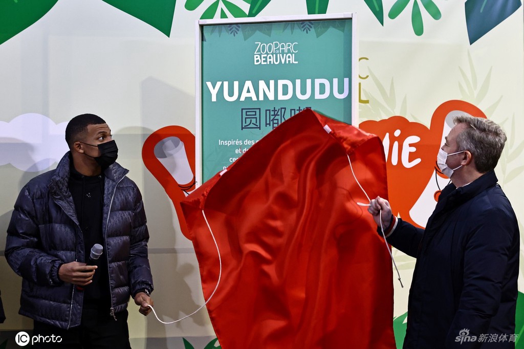 张家齐与姆巴佩联动 为旅法大熊猫幼崽命名
