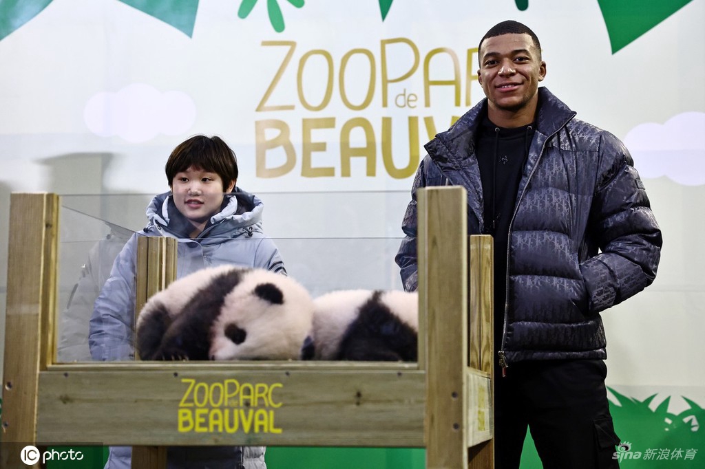 张家齐与姆巴佩联动 为旅法大熊猫幼崽命名