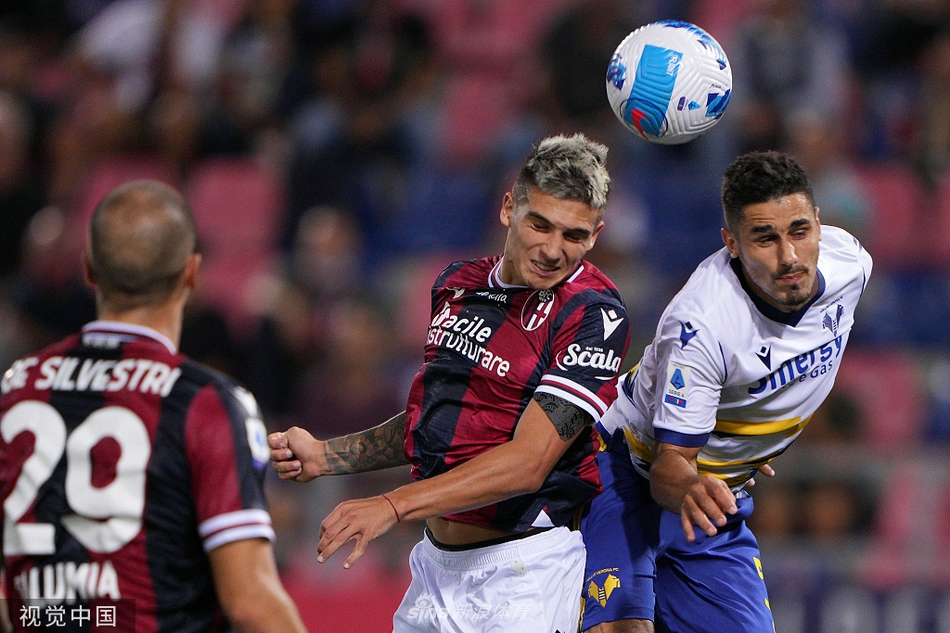 [意甲]博洛尼亚1-0维罗纳