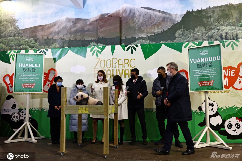 张家齐与姆巴佩联动 为旅法大熊猫幼崽命名