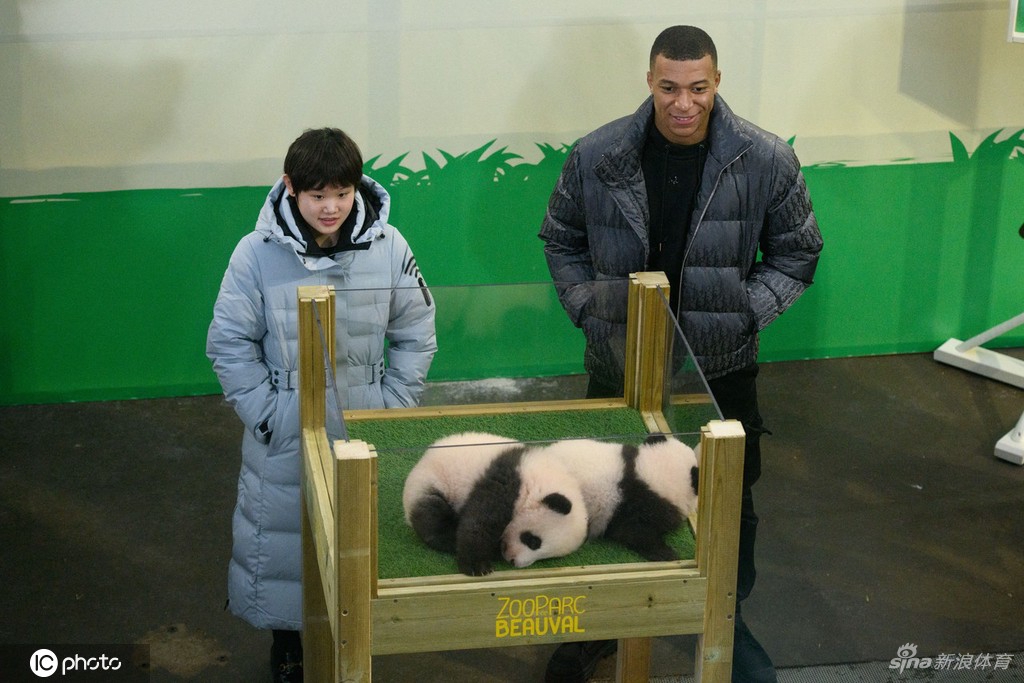 张家齐与姆巴佩联动 为旅法大熊猫幼崽命名