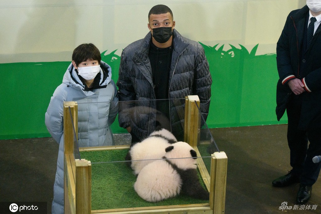 张家齐与姆巴佩联动 为旅法大熊猫幼崽命名