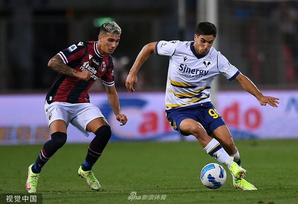 [意甲]博洛尼亚1-0维罗纳