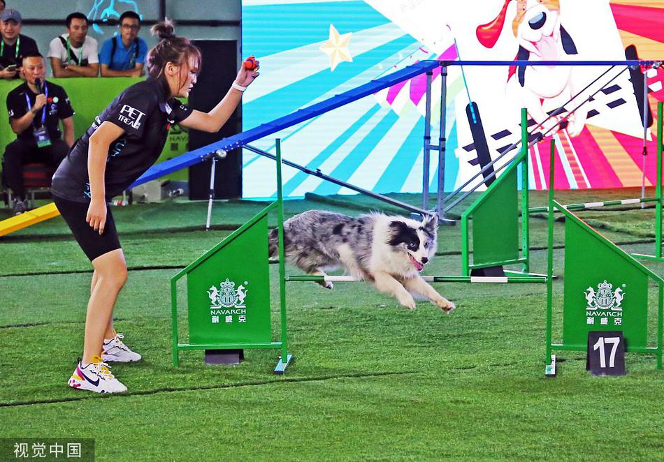 亚洲宠物展"狗狗运动会"开赛 敏捷犬中国队为芬兰世锦赛热身