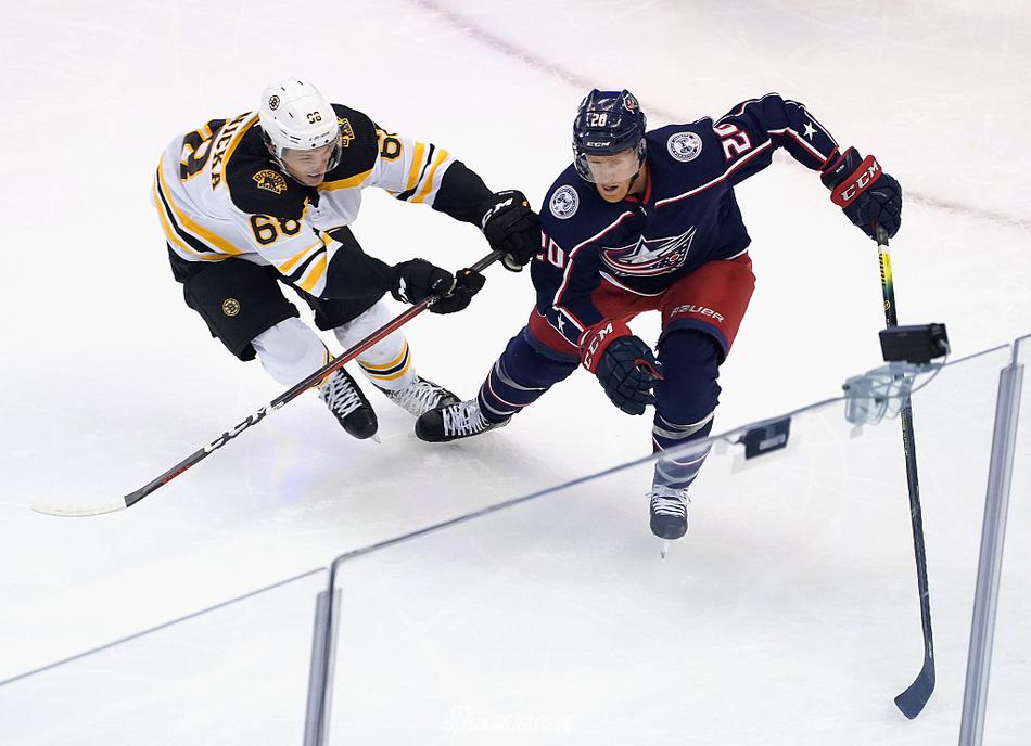 NHL表演赛：棕熊Vs蓝衣