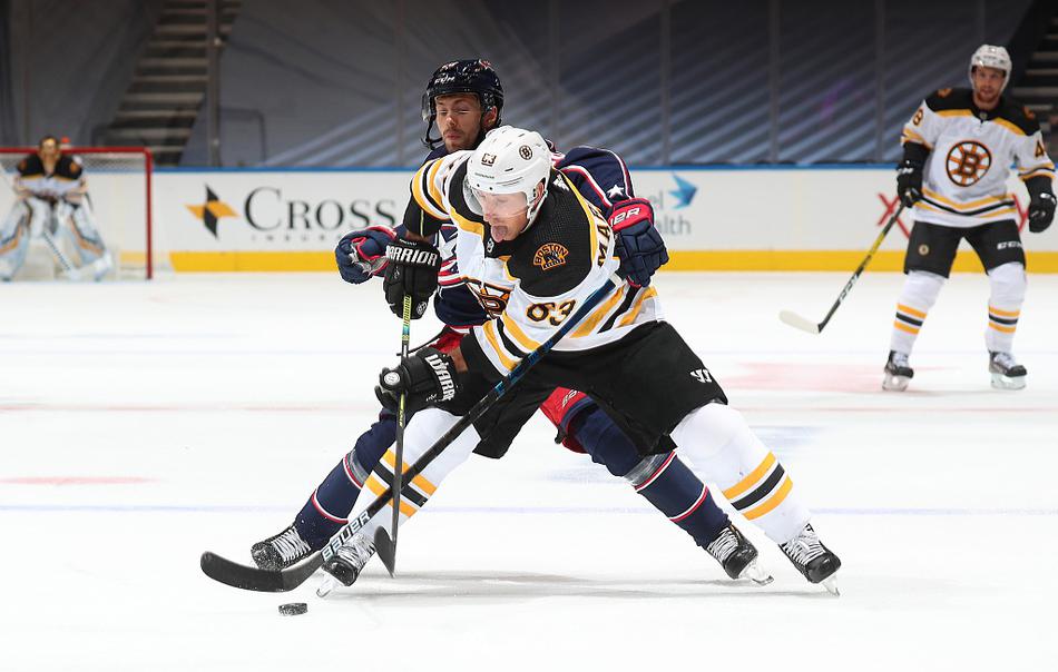 NHL表演赛：棕熊Vs蓝衣