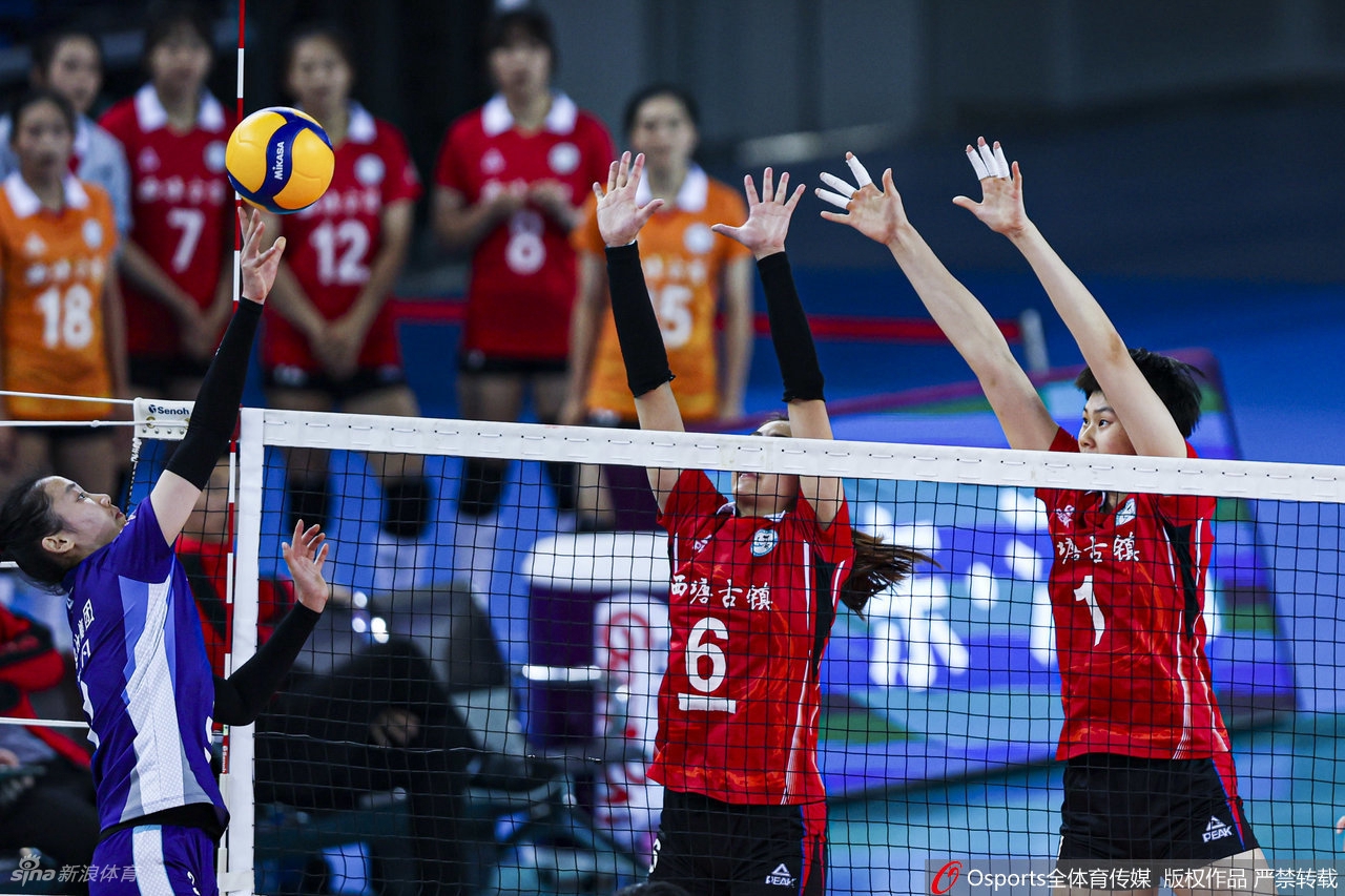 [女排联赛]浙江女排3-0河北女排