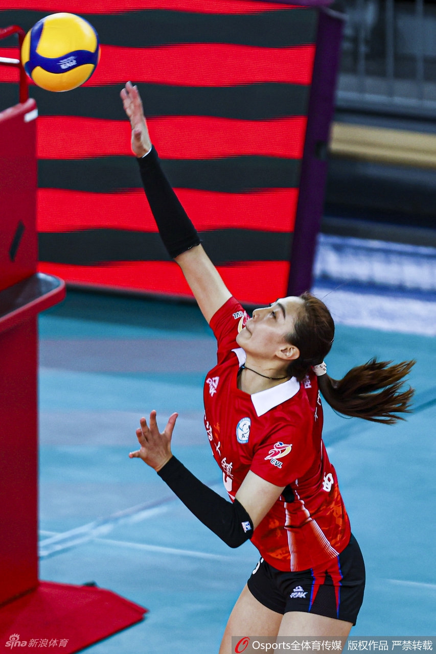 [女排联赛]浙江女排3-0河北女排