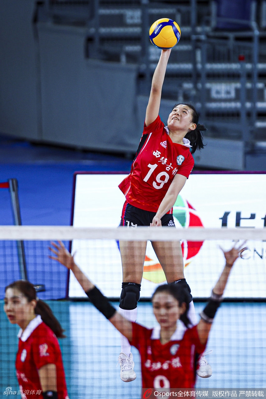 [女排联赛]浙江女排3-0河北女排