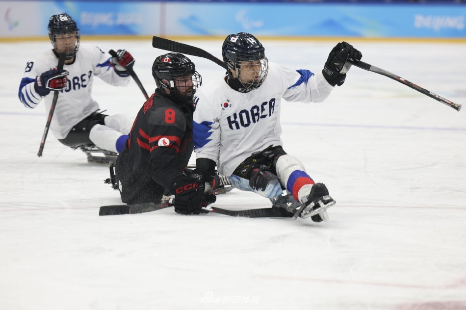 冬残奥会男子冰球加拿大VS韩国