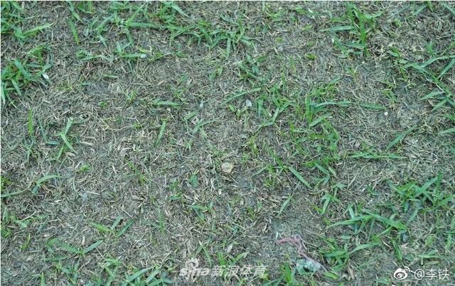 卓尔比赛延期因草皮烂如菜地
