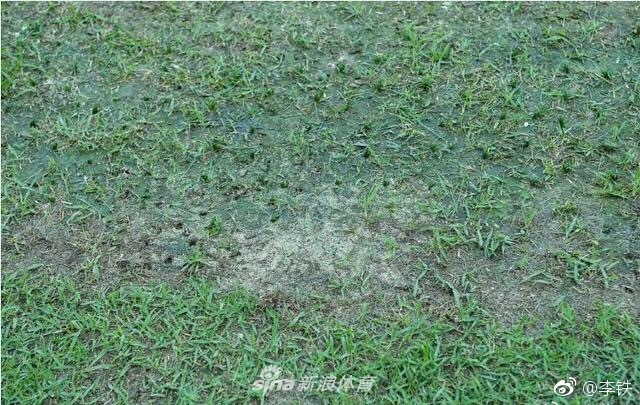 卓尔比赛延期因草皮烂如菜地
