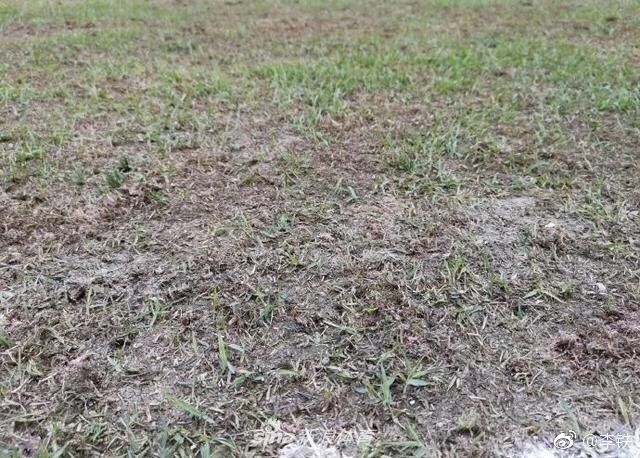 卓尔比赛延期因草皮烂如菜地