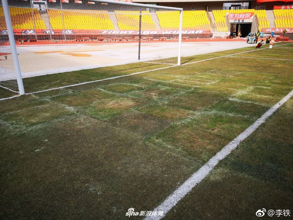 卓尔主场草皮翻修一新绿草如茵