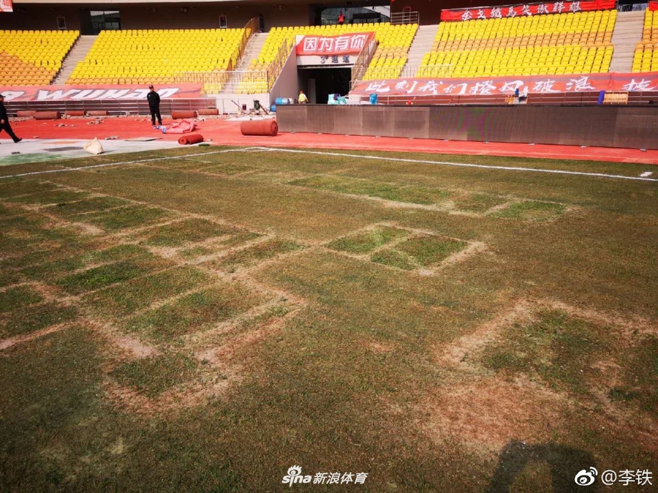 卓尔主场草皮翻修一新绿草如茵