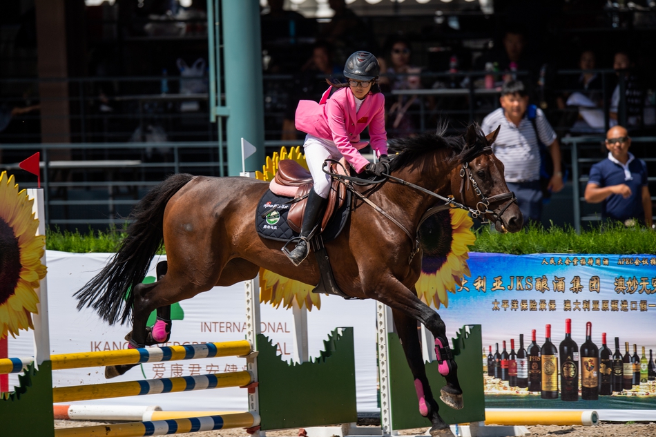 新浪杯未来之星马术大赛全球总决赛第一轮赛场瞬间_高清图集_新浪网
