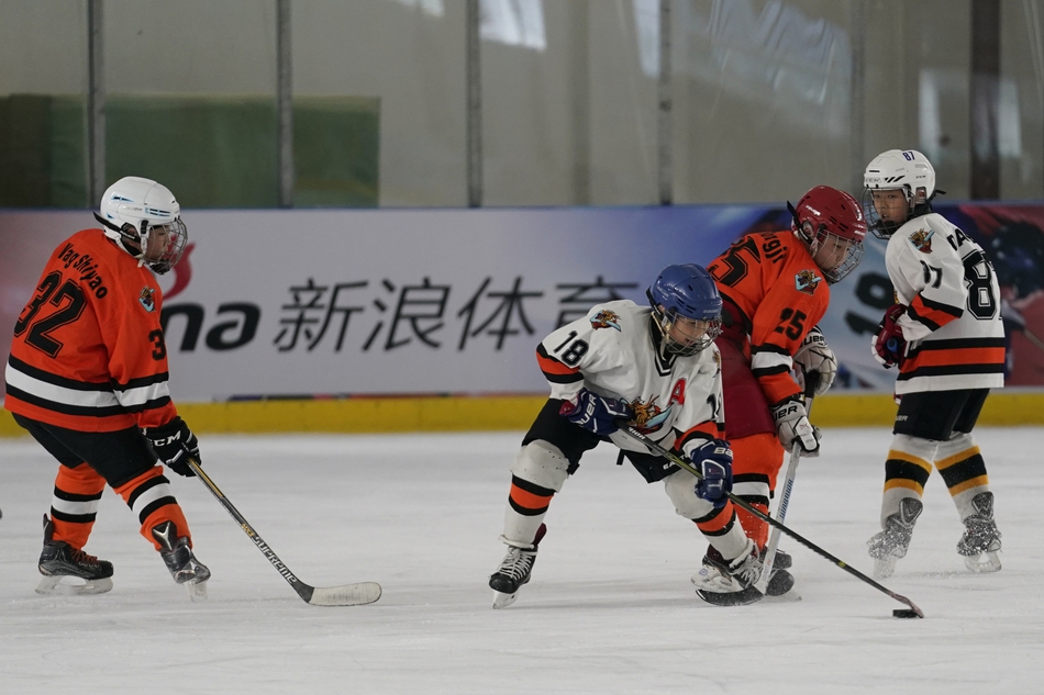 新浪杯冰球公开赛总决赛开幕