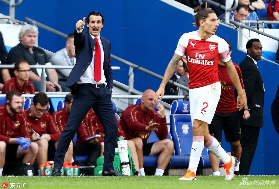 埃梅里场边指挥