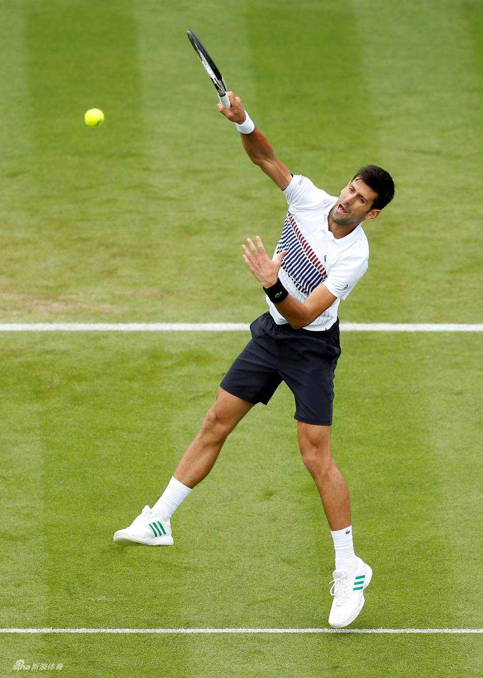 atp伊斯特本赛半决赛,德约科维奇直落两盘以6-4/6-4击败新星梅德维德