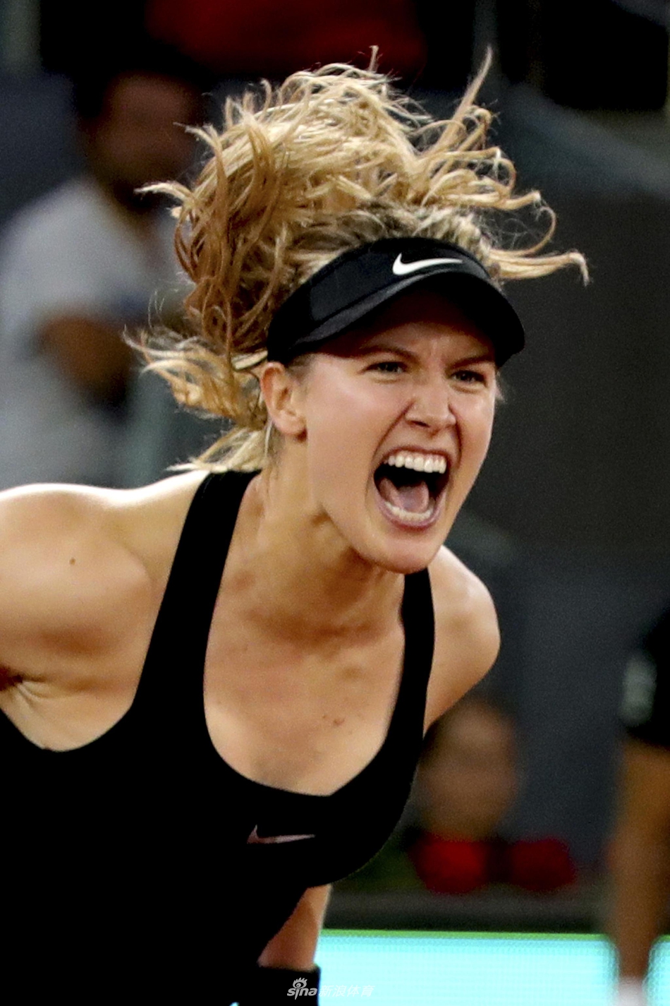 布沙尔怒吼庆祝