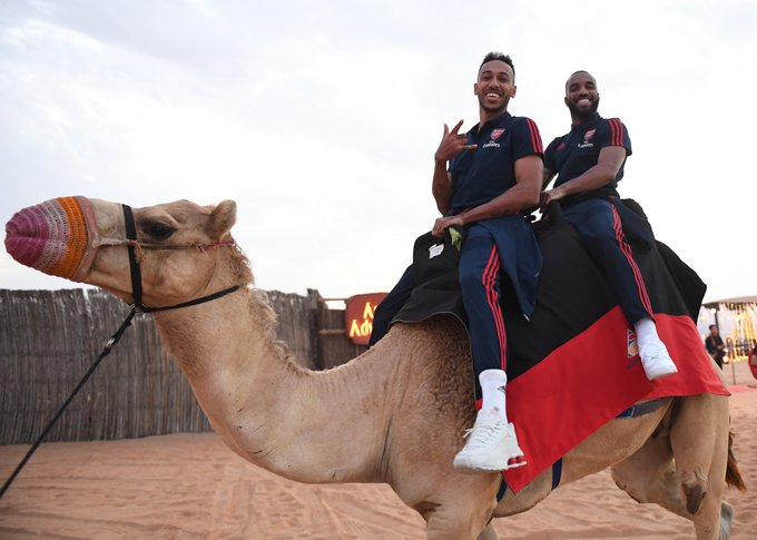 阿森纳沙漠团建！一起骑骆驼