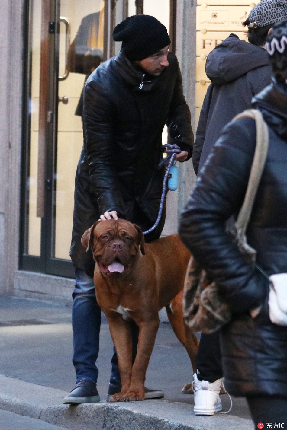 曼联大将与妻子街头遛狗