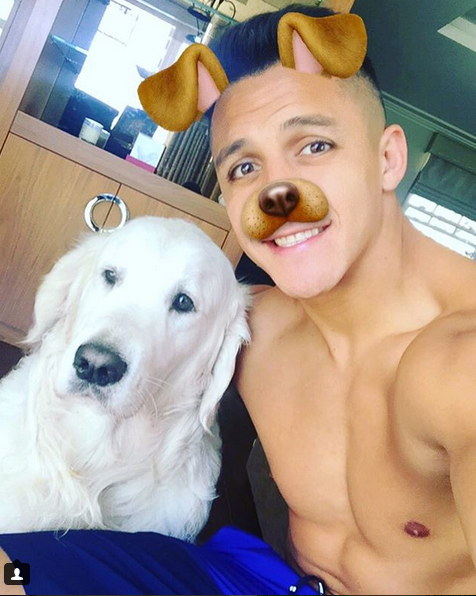 晒狗狂魔！桑切斯和他的爱狗们