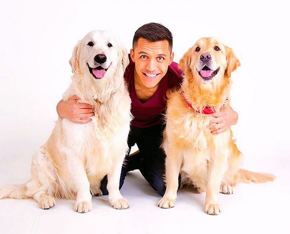 晒狗狂魔！桑切斯和他的爱狗们