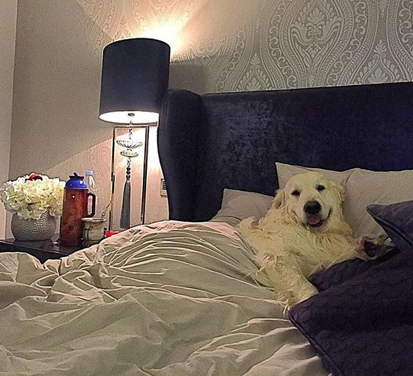 晒狗狂魔！桑切斯和他的爱狗们