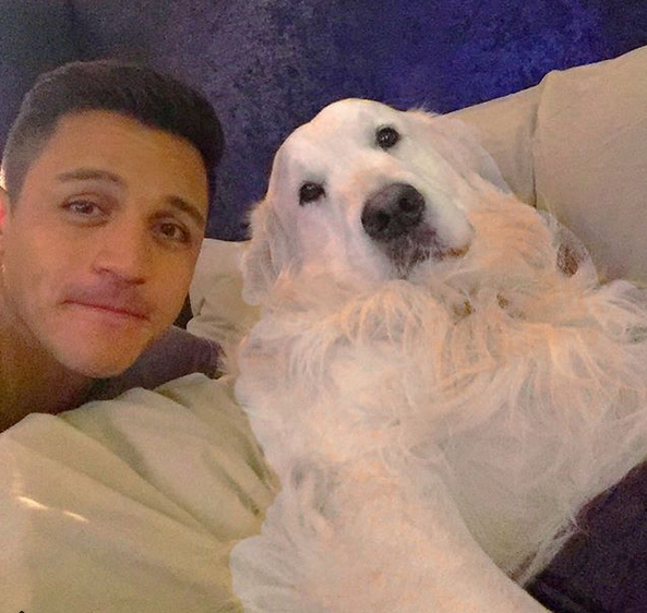 晒狗狂魔！桑切斯和他的爱狗们