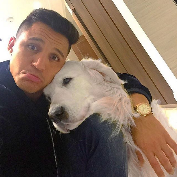 晒狗狂魔！桑切斯和他的爱狗们